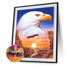 Load image into Gallery viewer, Eagle 40x50cm(canvas) full round drill diamond painting
