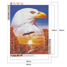 Load image into Gallery viewer, Eagle 40x50cm(canvas) full round drill diamond painting
