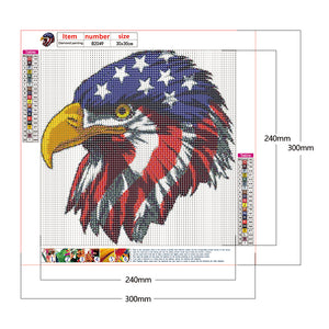 Flag & Eagle 30x30cm(canvas) full round drill diamond painting