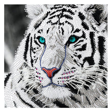 Load image into Gallery viewer, White Tiger 30x30cm(canvas) partial crystal drill diamond painting
