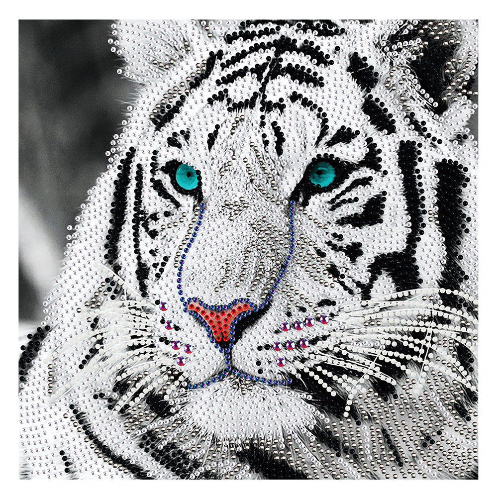 White Tiger 30x30cm(canvas) partial crystal drill diamond painting