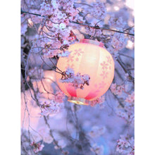 Load image into Gallery viewer, Cherry Blossoms &amp; Lanterns 30x40cm(canvas) full square drill diamond painting
