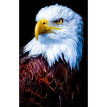 Load image into Gallery viewer, Eagle 45x75cm(canvas) full square drill diamond painting

