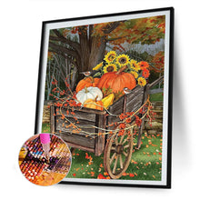 Load image into Gallery viewer, Pumpkin Sunflower 30x40cm(canvas) full round drill diamond painting
