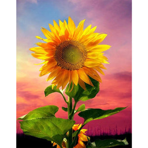 Sunflower 30x40cm(canvas) full round drill diamond painting