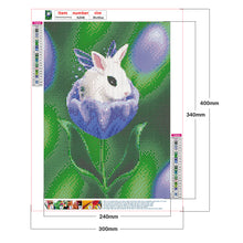 Load image into Gallery viewer, Rabbit Spring 30x40cm(canvas) full round drill diamond painting
