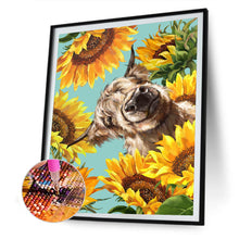 Load image into Gallery viewer, Cows In Sunflowers 30x40cm(canvas) full round drill diamond painting
