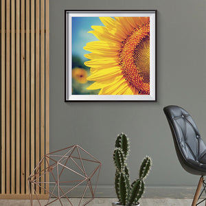 Sunflower 30x30cm(canvas) full round drill diamond painting