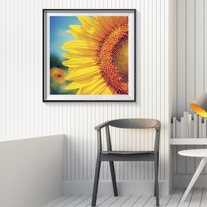 Sunflower 30x30cm(canvas) full round drill diamond painting