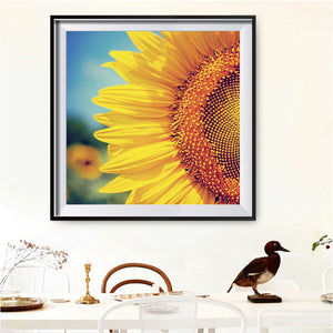 Sunflower 30x30cm(canvas) full round drill diamond painting