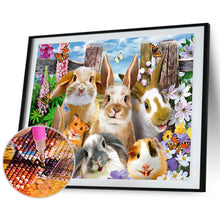 Load image into Gallery viewer, Rabbit 50x40cm(canvas) full round drill diamond painting
