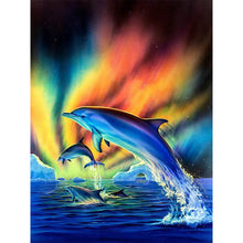 Load image into Gallery viewer, Dolphins Under The Aurora 30x40cm(canvas) full round drill diamond painting
