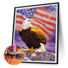 Load image into Gallery viewer, Eagle 30x40cm(canvas) full round drill diamond painting
