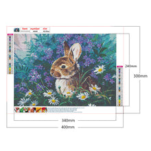 Load image into Gallery viewer, Rabbit 40x30cm(canvas) full round drill diamond painting
