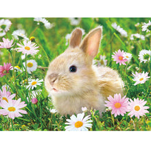 Load image into Gallery viewer, Rabbit 40x30cm(canvas) full round drill diamond painting
