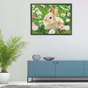 Rabbit 40x30cm(canvas) full round drill diamond painting