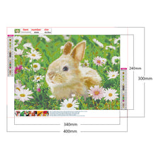 Load image into Gallery viewer, Rabbit 40x30cm(canvas) full round drill diamond painting
