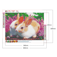 Load image into Gallery viewer, Rabbit 40x30cm(canvas) full round drill diamond painting
