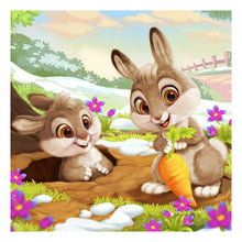 Load image into Gallery viewer, Bunny 50*50CM(Canvas) Full Round Drill Diamond Painting
