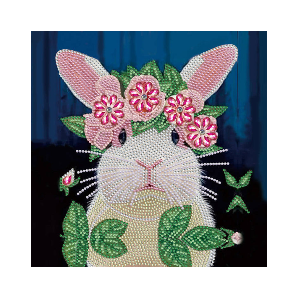 Rabbit 30*30CM £¨canvans) Partial Special-Shaped Drill Diamond Painting