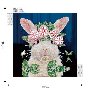 Rabbit 30*30CM £¨canvans) Partial Special-Shaped Drill Diamond Painting