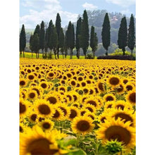 Load image into Gallery viewer, Sunflower 30*40CM £¨canvans) Full Round Drill Diamond Painting
