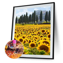 Load image into Gallery viewer, Sunflower 30*40CM £¨canvans) Full Round Drill Diamond Painting
