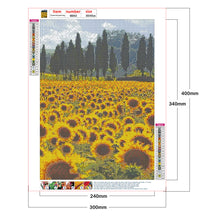 Load image into Gallery viewer, Sunflower 30*40CM £¨canvans) Full Round Drill Diamond Painting
