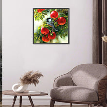 Load image into Gallery viewer, Bird And Apple 45*45CM £¨canvans) Full Round Drill Diamond Painting
