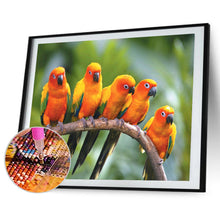 Load image into Gallery viewer, Parrot 40*30CM £¨canvans) Full Round Drill Diamond Painting

