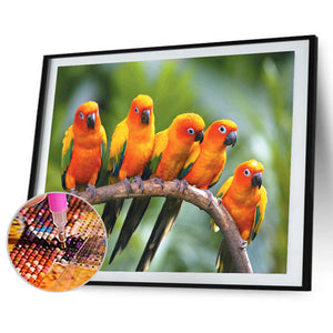 Parrot 40*30CM £¨canvans) Full Round Drill Diamond Painting
