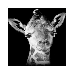 Giraffe 30*30CM £¨canvans) Full Round Drill Diamond Painting