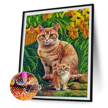 Load image into Gallery viewer, Cat 30*40CM £¨canvans) Full Round Drill Diamond Painting

