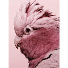 Load image into Gallery viewer, Parrot 30*40CM £¨canvans) Full Round Drill Diamond Painting
