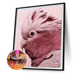 Parrot 30*40CM £¨canvans) Full Round Drill Diamond Painting
