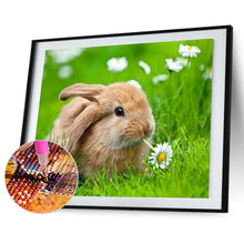 Load image into Gallery viewer, Rabbit 40*30CM £¨canvans) Full Round Drill Diamond Painting
