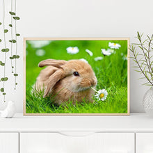 Load image into Gallery viewer, Rabbit 40*30CM £¨canvans) Full Round Drill Diamond Painting
