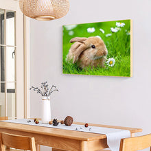 Load image into Gallery viewer, Rabbit 40*30CM £¨canvans) Full Round Drill Diamond Painting
