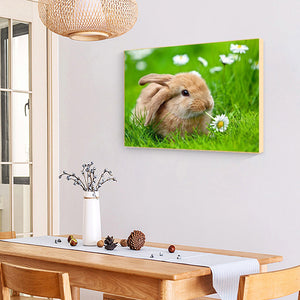 Rabbit 40*30CM £¨canvans) Full Round Drill Diamond Painting