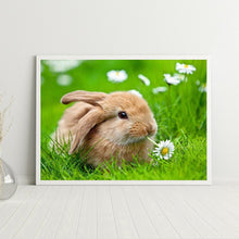 Load image into Gallery viewer, Rabbit 40*30CM £¨canvans) Full Round Drill Diamond Painting
