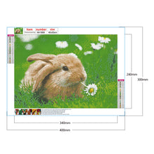 Load image into Gallery viewer, Rabbit 40*30CM £¨canvans) Full Round Drill Diamond Painting
