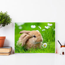 Load image into Gallery viewer, Rabbit 40*30CM £¨canvans) Full Round Drill Diamond Painting
