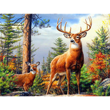 Load image into Gallery viewer, Deer 60*50CM £¨canvans) Full Round Drill Diamond Painting
