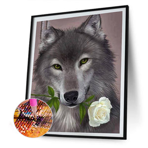 Wolf 30*40CM £¨canvans) Full Round Drill Diamond Painting