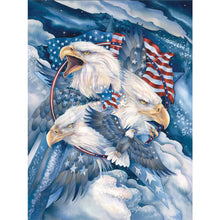 Load image into Gallery viewer, Eagle 30*40CM £¨canvans) Full Round Drill Diamond Painting
