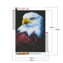 Load image into Gallery viewer, Eagle 30*40CM £¨canvans) Full Round Drill Diamond Painting
