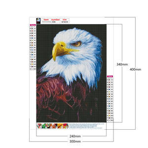 Eagle 30*40CM £¨canvans) Full Round Drill Diamond Painting