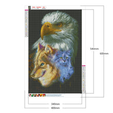 Load image into Gallery viewer, Eagle 40*60CM £¨canvans) Full Round Drill Diamond Painting
