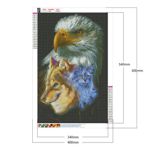 Eagle 40*60CM £¨canvans) Full Round Drill Diamond Painting