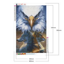 Load image into Gallery viewer, Eagle 40*60CM £¨canvans) Full Round Drill Diamond Painting
